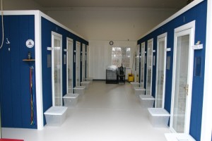 All About Dogs, Dog Boarding, Kennel_D All About Dogs, Dog Boarding, Kennel_D