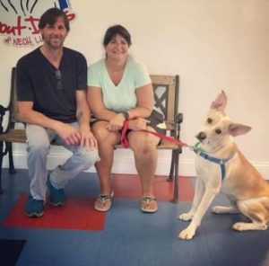 Rescue Village Foster Dog Money