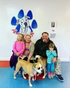 All About Dogs Foster Dogs Dozer & Harley