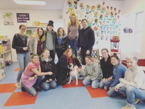 All About Dogs Foster DogBenji