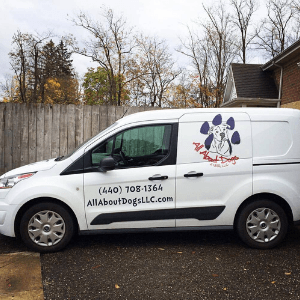 All About Dogs Pet Taxi