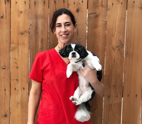 All About Dogs Team - Alicia