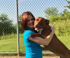 All About Dogs Team - Andrea