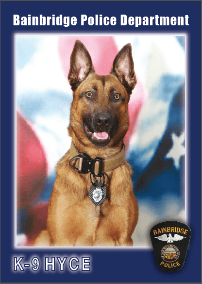 Bainbridge K9 Officer Hyce