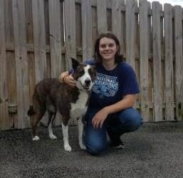 All About Dogs Team - Norman