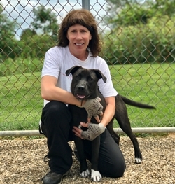 All About Dogs Team - Susan