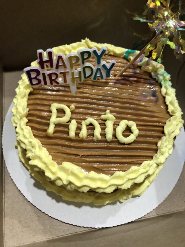 A cake with the name of pinto on it.