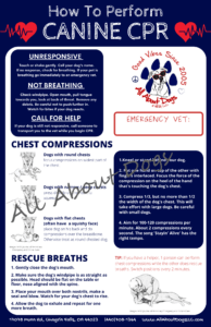 A dog 's cpr instructions and information sheet.