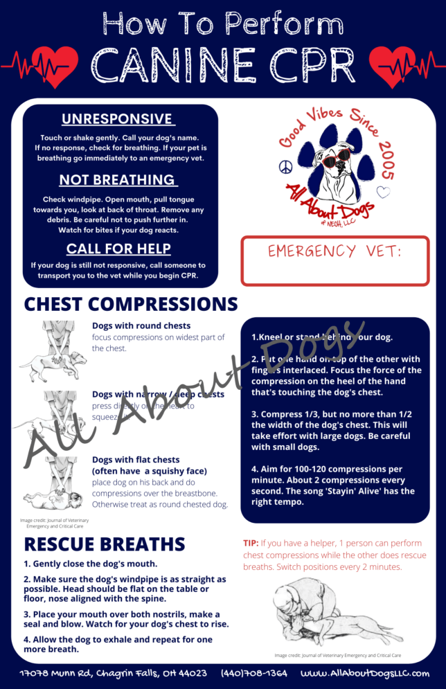 A dog 's cpr instructions and information sheet.