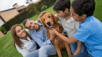 A group of people sitting around with a dog.