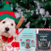 A dog wearing a christmas hat and holding a cookie.