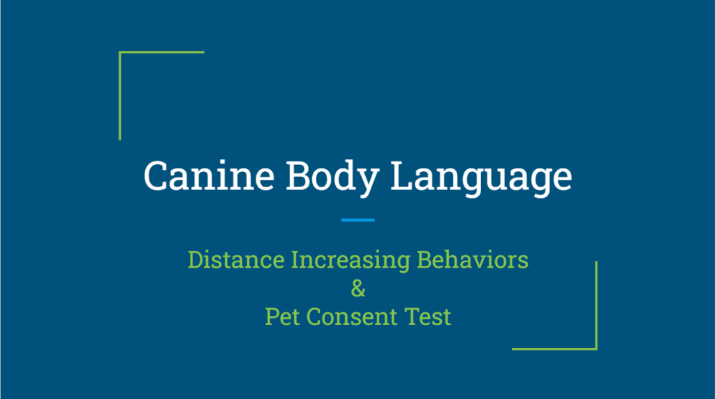 A blue background with the words " canine body language " written in white.