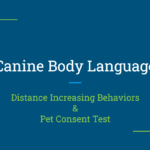 A blue background with the words " canine body language " written in white.