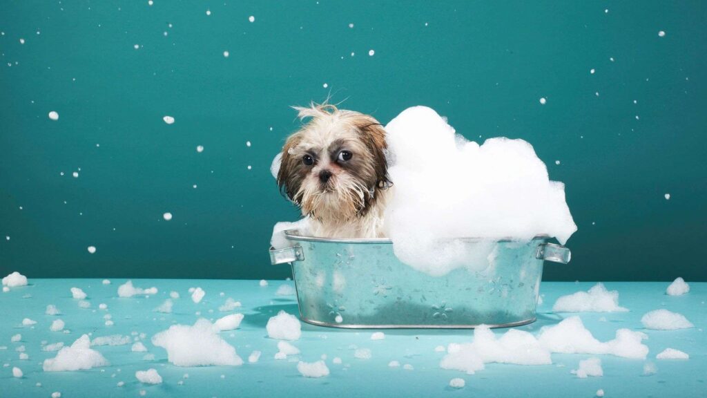 A dog sitting in a tub of soap on top of the floor.