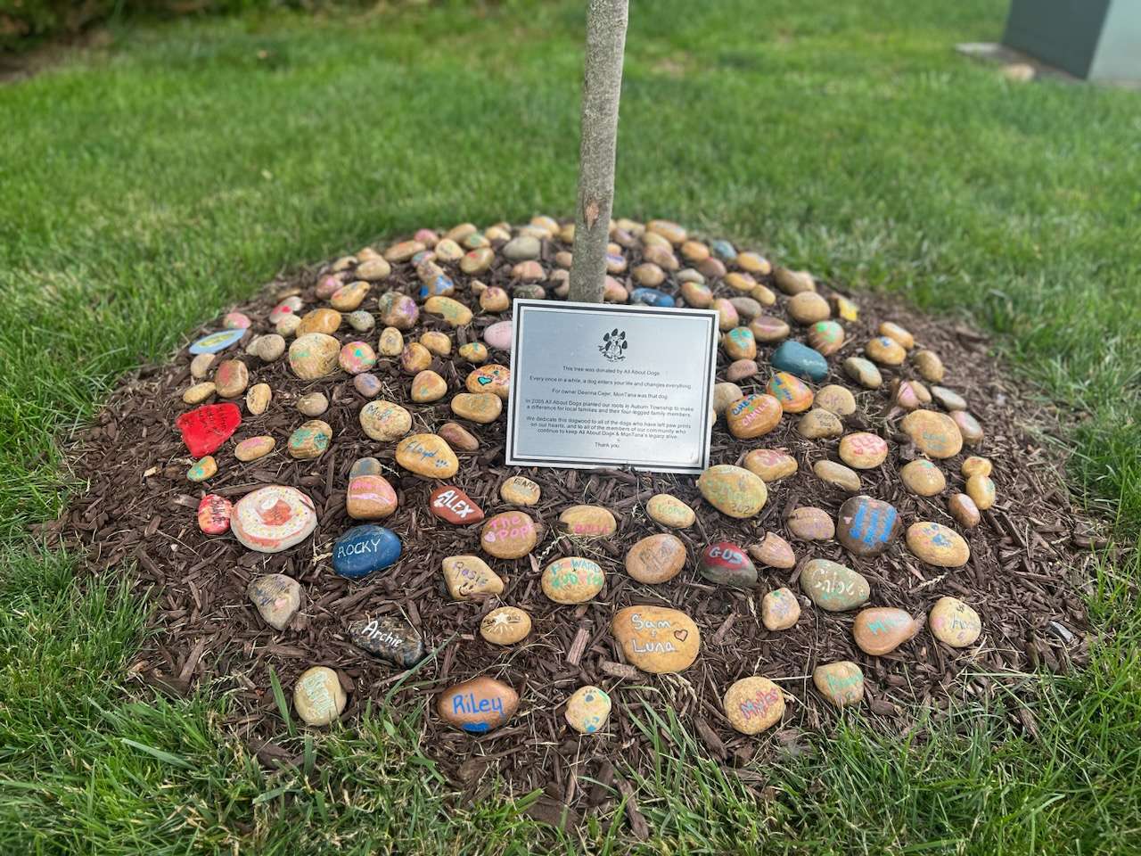 A tree stump with many different colored rocks around it.