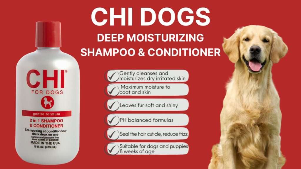 A dog 's shampoo and conditioner for dogs with chi dogs.