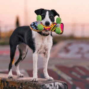 A dog holding a skateboard in its mouth.