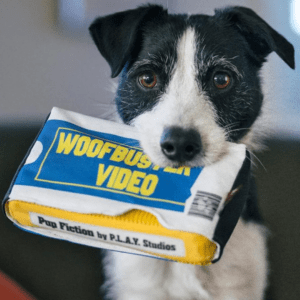 A dog holding a video tape in its mouth.