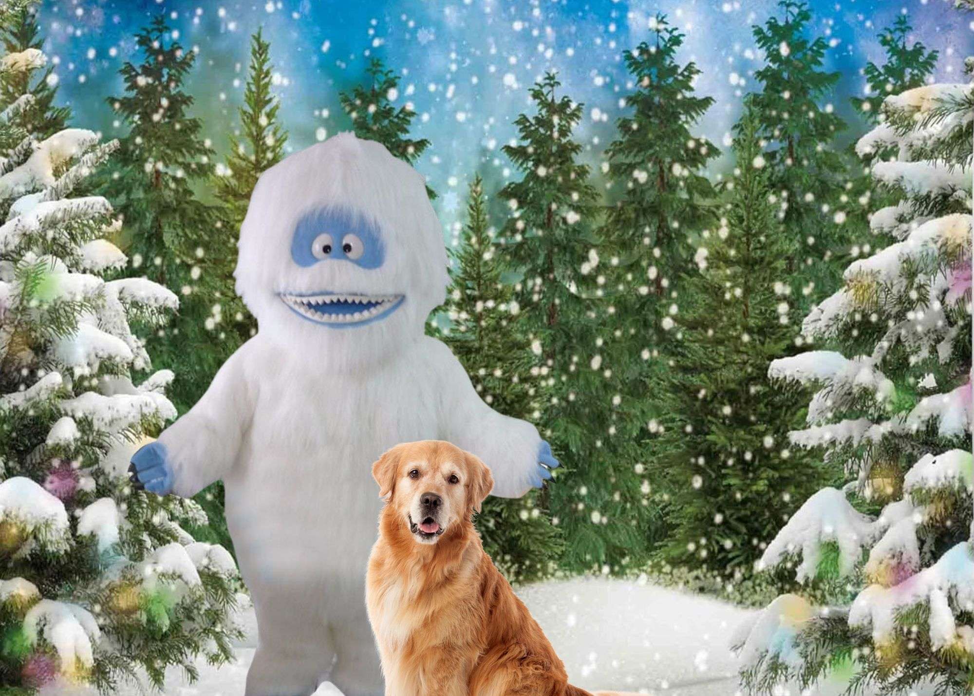 A dog and a stuffed animal in the snow.