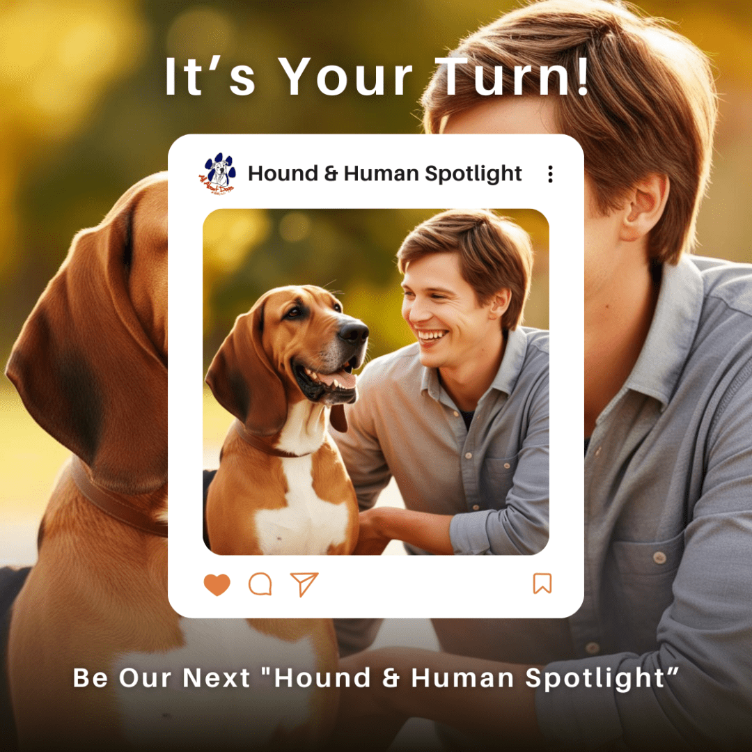 Hound & Human Spotlight